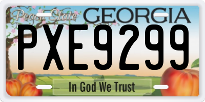 GA license plate PXE9299