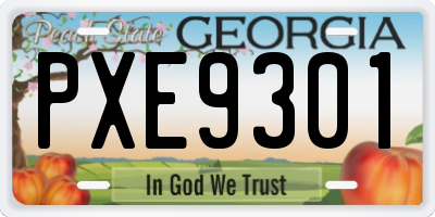 GA license plate PXE9301