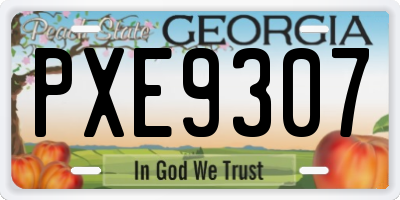 GA license plate PXE9307