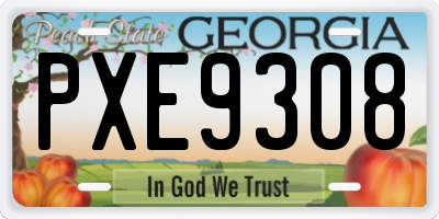 GA license plate PXE9308