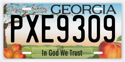 GA license plate PXE9309