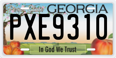 GA license plate PXE9310