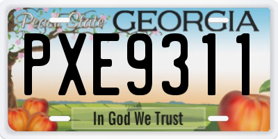 GA license plate PXE9311