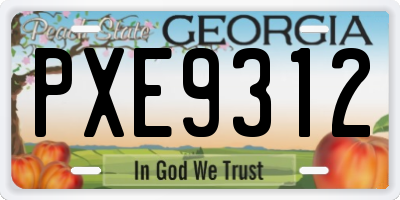 GA license plate PXE9312