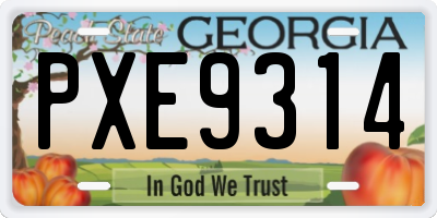 GA license plate PXE9314