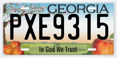 GA license plate PXE9315