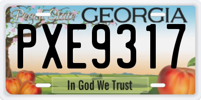 GA license plate PXE9317