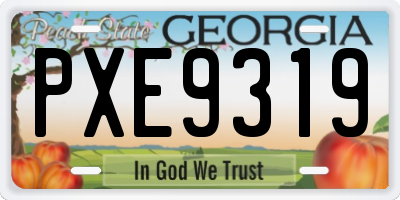 GA license plate PXE9319