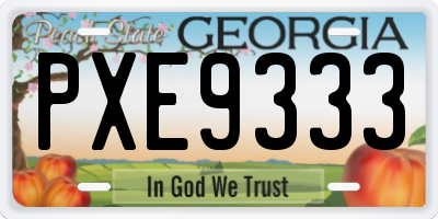 GA license plate PXE9333