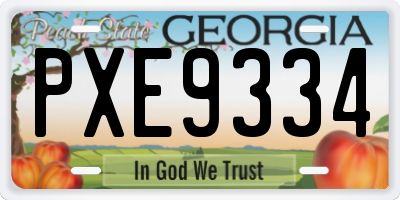 GA license plate PXE9334