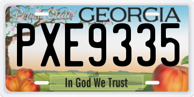 GA license plate PXE9335