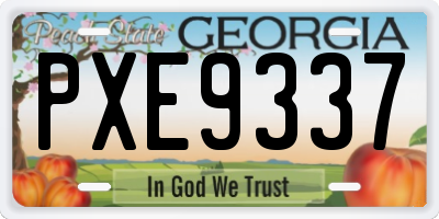 GA license plate PXE9337