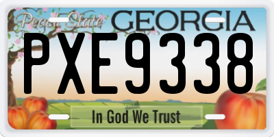 GA license plate PXE9338