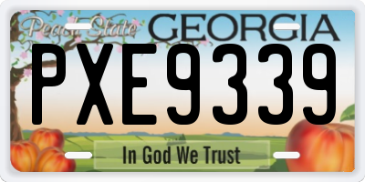 GA license plate PXE9339