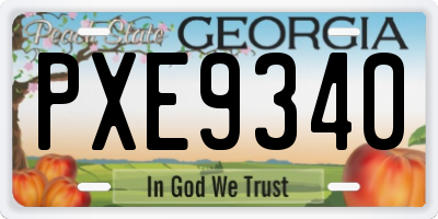 GA license plate PXE9340