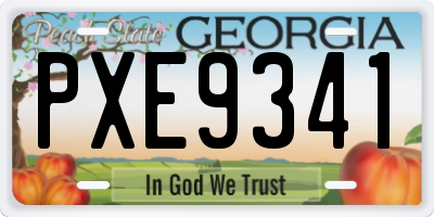 GA license plate PXE9341