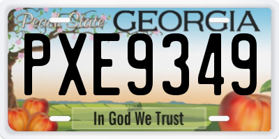 GA license plate PXE9349