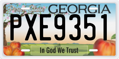 GA license plate PXE9351