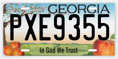 GA license plate PXE9355