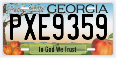 GA license plate PXE9359