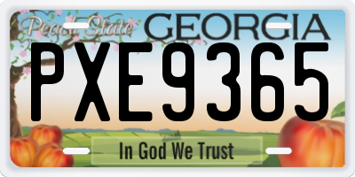 GA license plate PXE9365