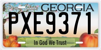 GA license plate PXE9371