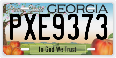 GA license plate PXE9373