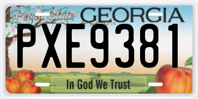 GA license plate PXE9381