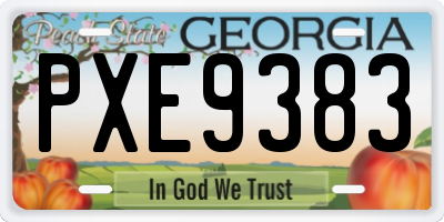 GA license plate PXE9383
