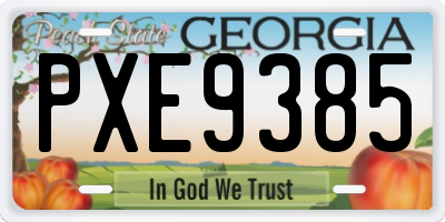 GA license plate PXE9385