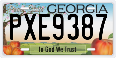 GA license plate PXE9387