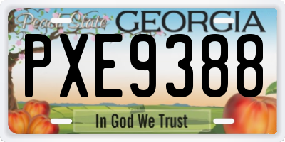 GA license plate PXE9388