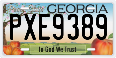 GA license plate PXE9389