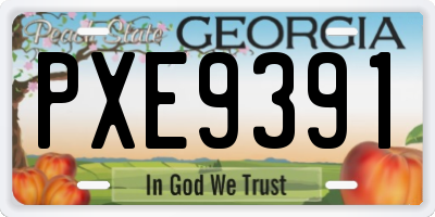 GA license plate PXE9391