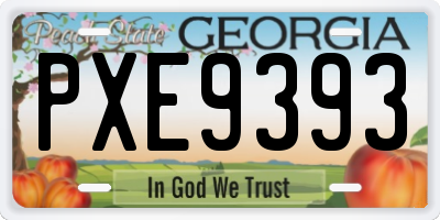 GA license plate PXE9393