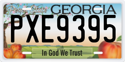 GA license plate PXE9395
