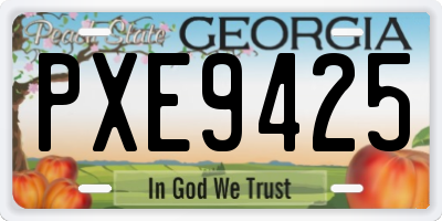 GA license plate PXE9425
