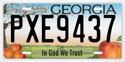 GA license plate PXE9437
