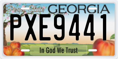 GA license plate PXE9441