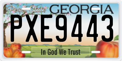 GA license plate PXE9443