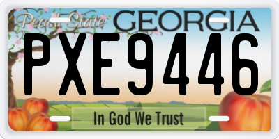 GA license plate PXE9446