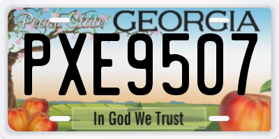 GA license plate PXE9507
