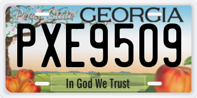 GA license plate PXE9509