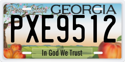 GA license plate PXE9512