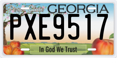 GA license plate PXE9517