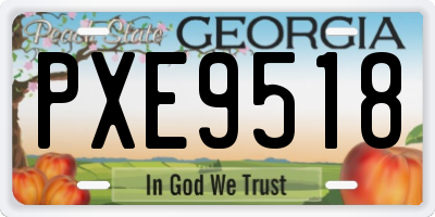 GA license plate PXE9518