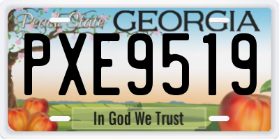 GA license plate PXE9519