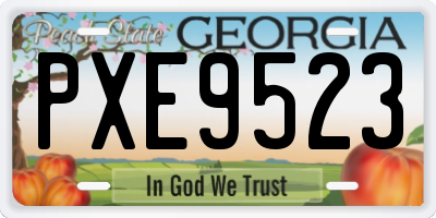 GA license plate PXE9523