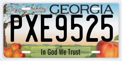 GA license plate PXE9525