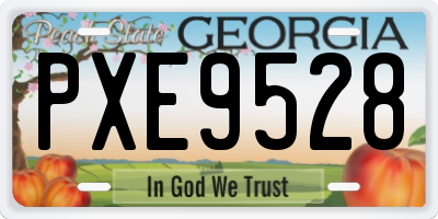 GA license plate PXE9528